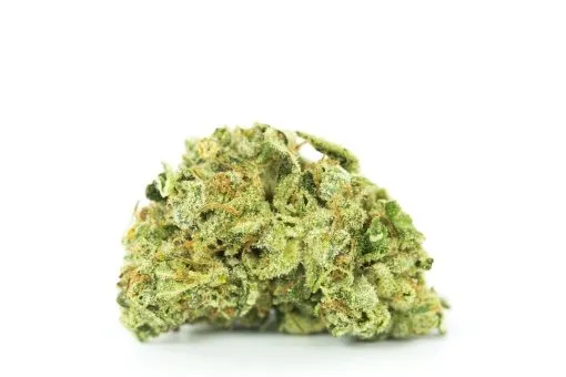 Buy Alien Dawg Strain