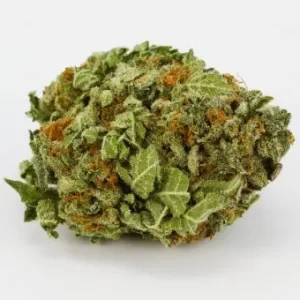 buy Candy Land strain