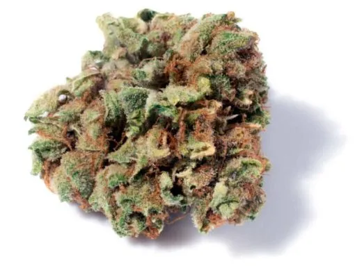 Buy Durban Poison