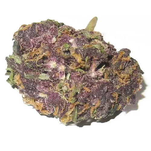 buy granddaddy purple strain