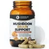 Mushroom Brain Support For Sale