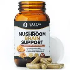 Mushroom Brain Support For Sale