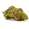 buy Mango Haze strain