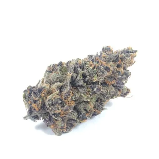 Purple Tangie strain for sale