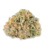 Strawberry Cough strain for sale