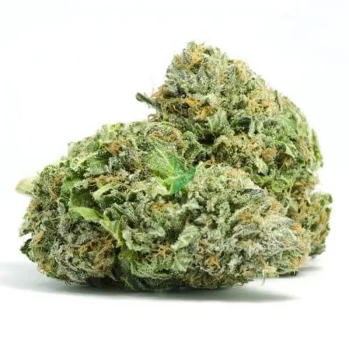 Sweet Tooth strain for sale