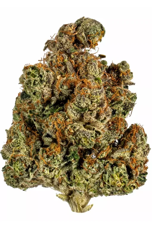 buy trainwreck strain