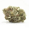 white widow strain for sale