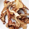 Buy African Transkei Mushrooms