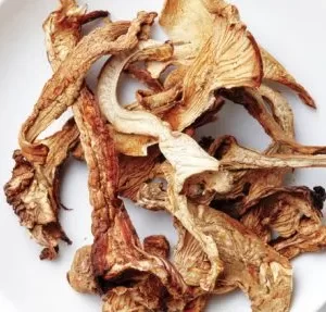 Buy African Transkei Mushrooms