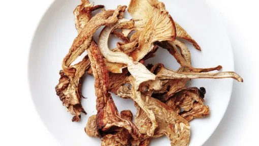 Buy African Transkei Mushrooms