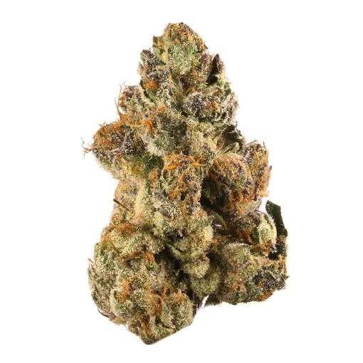 buy jet fuel gelato strain