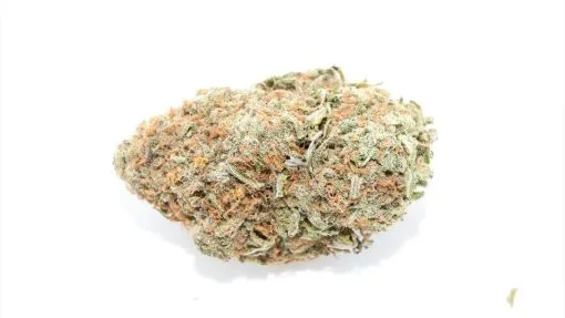 buy Lemon Creamsicle strain