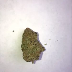 Buy mimosa strain on allbud