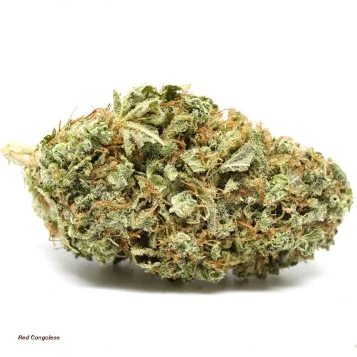 Buy Red Congo strain