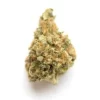 buy grape pie cookies strain