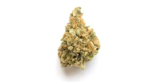 buy grape pie cookies strain