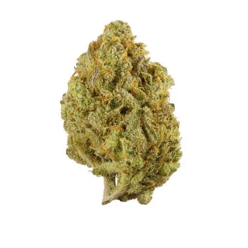 Super Lemon Haze strain for sale